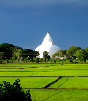 Sri Lanka's West - South Coast